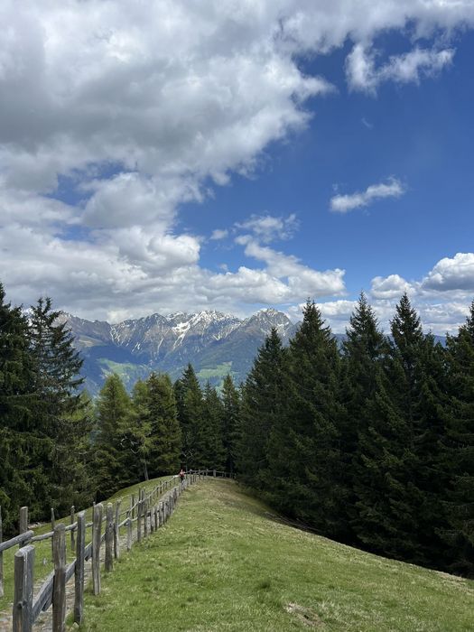 Ein hölzerner Zaun führt einen grünen grasbewachsenen Weg zwischen Nadelbäumen entlang, im Hintergrund sind schneebedeckte Berge unter einem wolkigen Himmel zu erkennen.