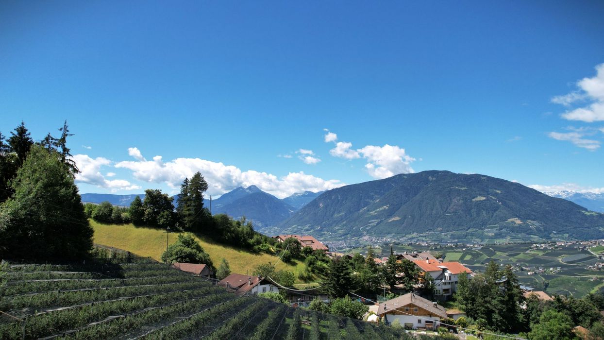 [Translate to italienisch:] 