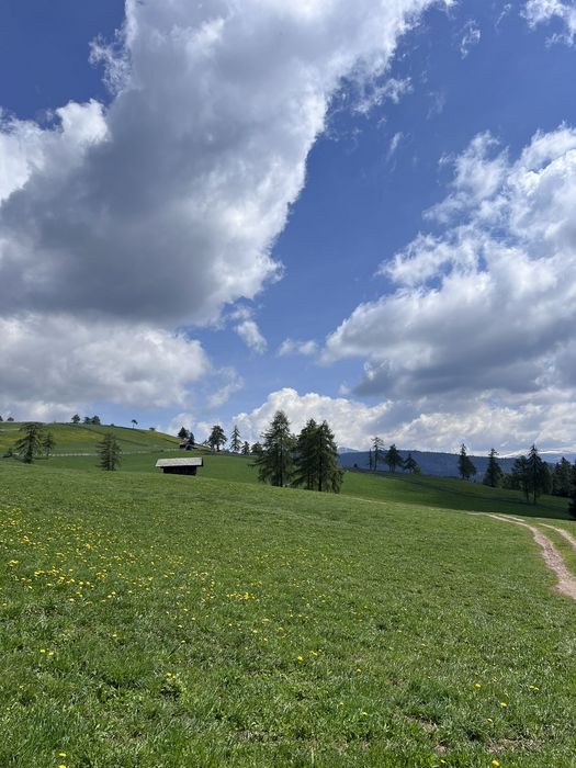Eine grüne Bergwiese mit gelben Blumen und einer kleinen Holzhütte unter einem bewölkten blauen Himmel.