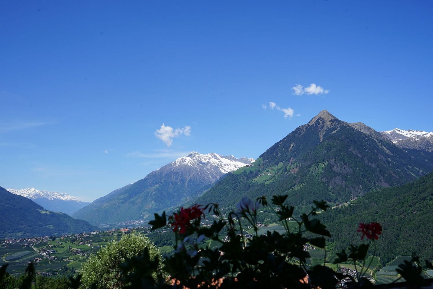 [Translate to italienisch:] 