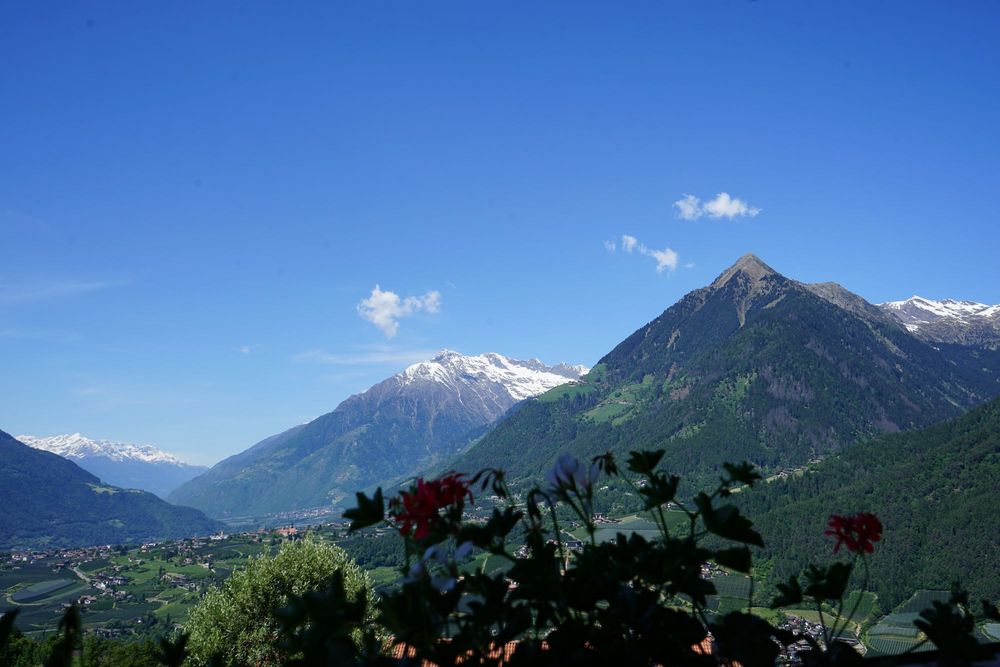 [Translate to italienisch:] 