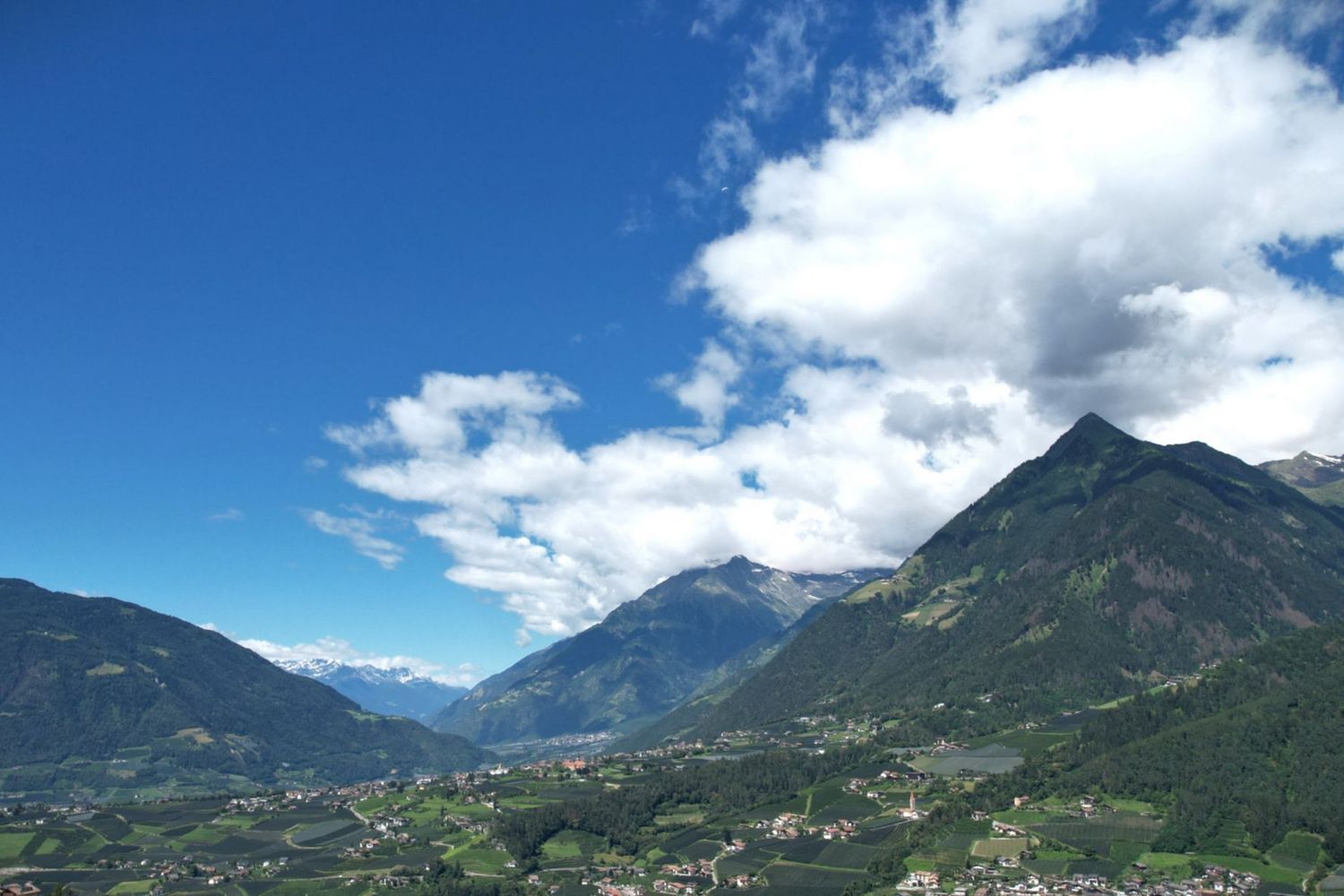 [Translate to italienisch:] 