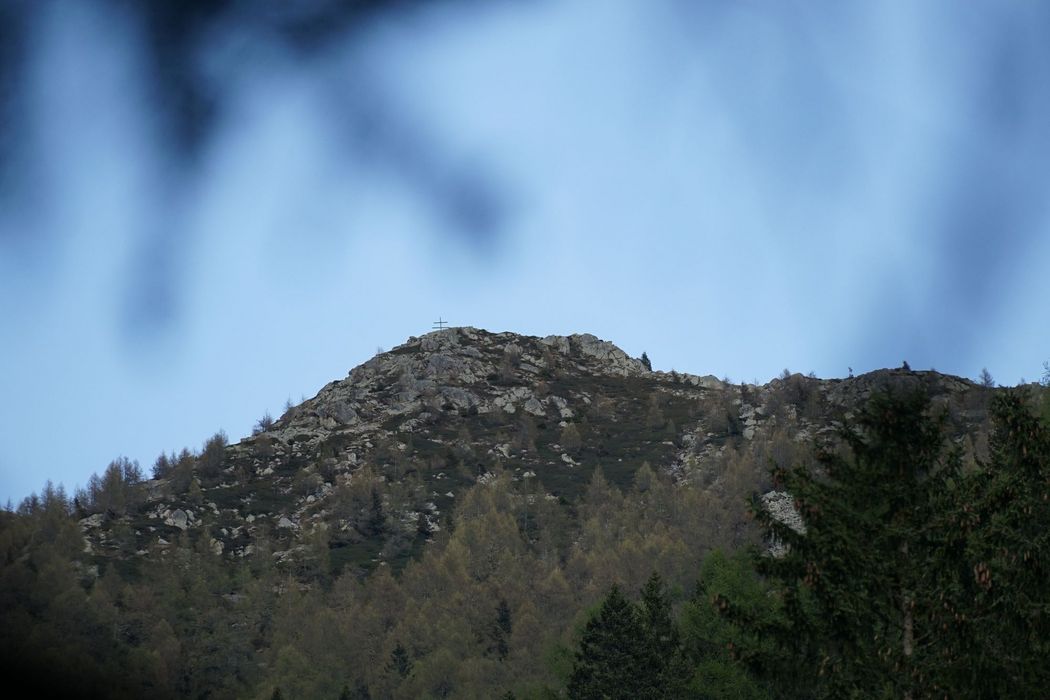 Ein felsiger Berggipfel mit einem Gipfelkreuz gegen einen blauen Morgenhimmel, gerahmt von unscharfen Baumzweigen im Vordergrund.