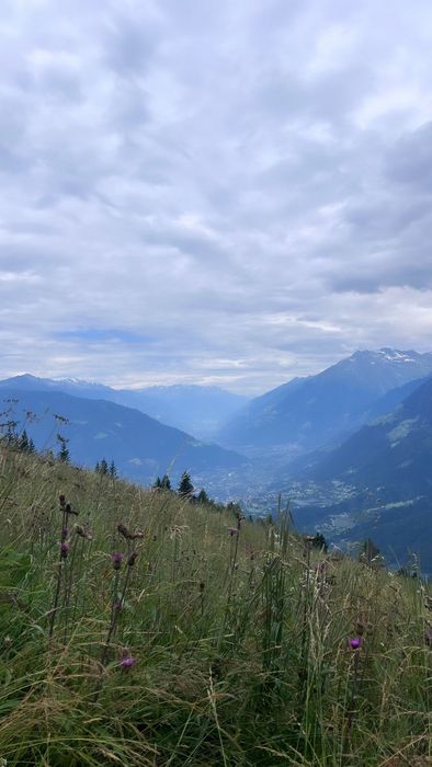 Wiesen und Blumen am Schenna Berg laden zu Wanderungen für jeden ein