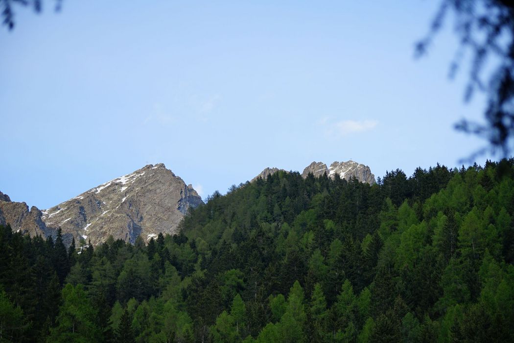 Ein Blick auf zwei schroffe Gebirgsgipfel mit Schneeresten hinter einem dichten, grünen Nadelwald unter einem klaren blauen Himmel.