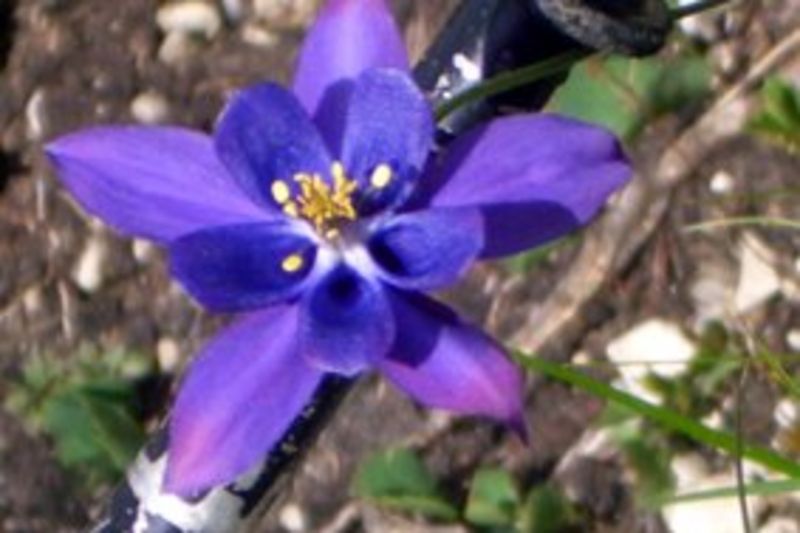 Hotel Langwies Schenna Sonnenzug in die Ferien