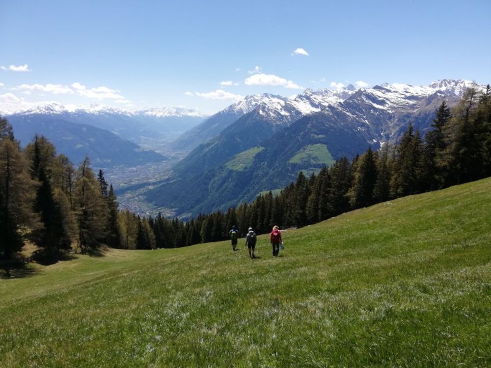 Sommergenuß Sommergenuß