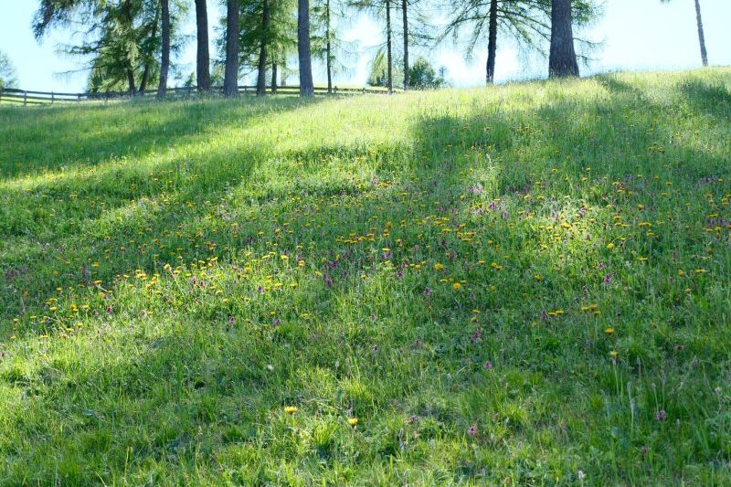 Sentiero Circolare Parcheggio Schermoos