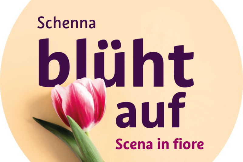 Hotel Langwies Schenna blüht auf