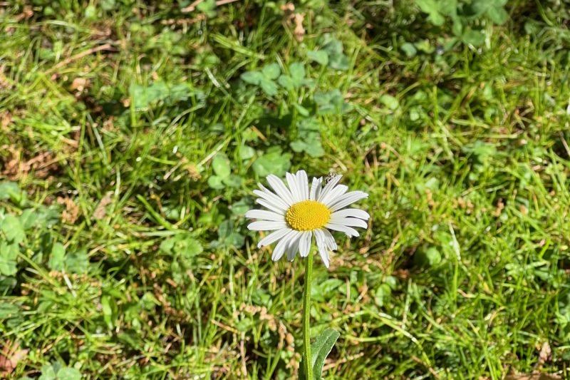 Primavera in Alto Adige