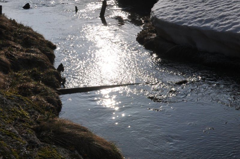 Hotel Langwies Schenna Advent Advent 