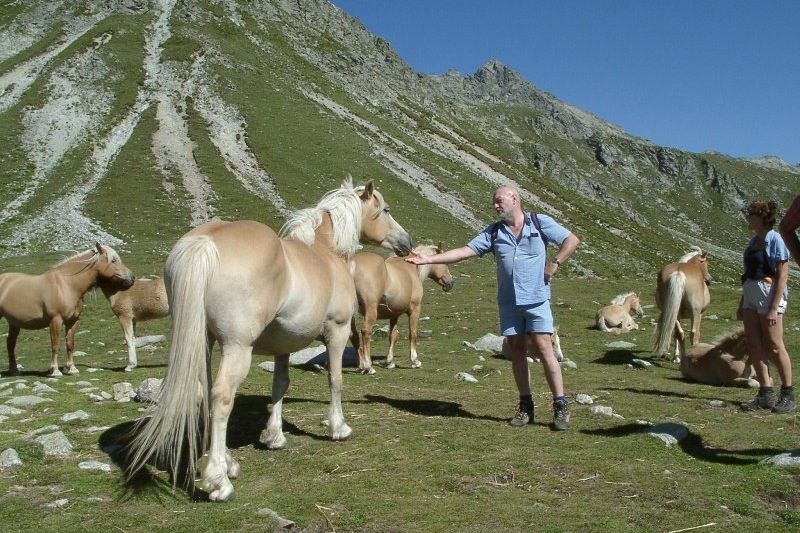 Hotel Langwies Almen und Berghütten 