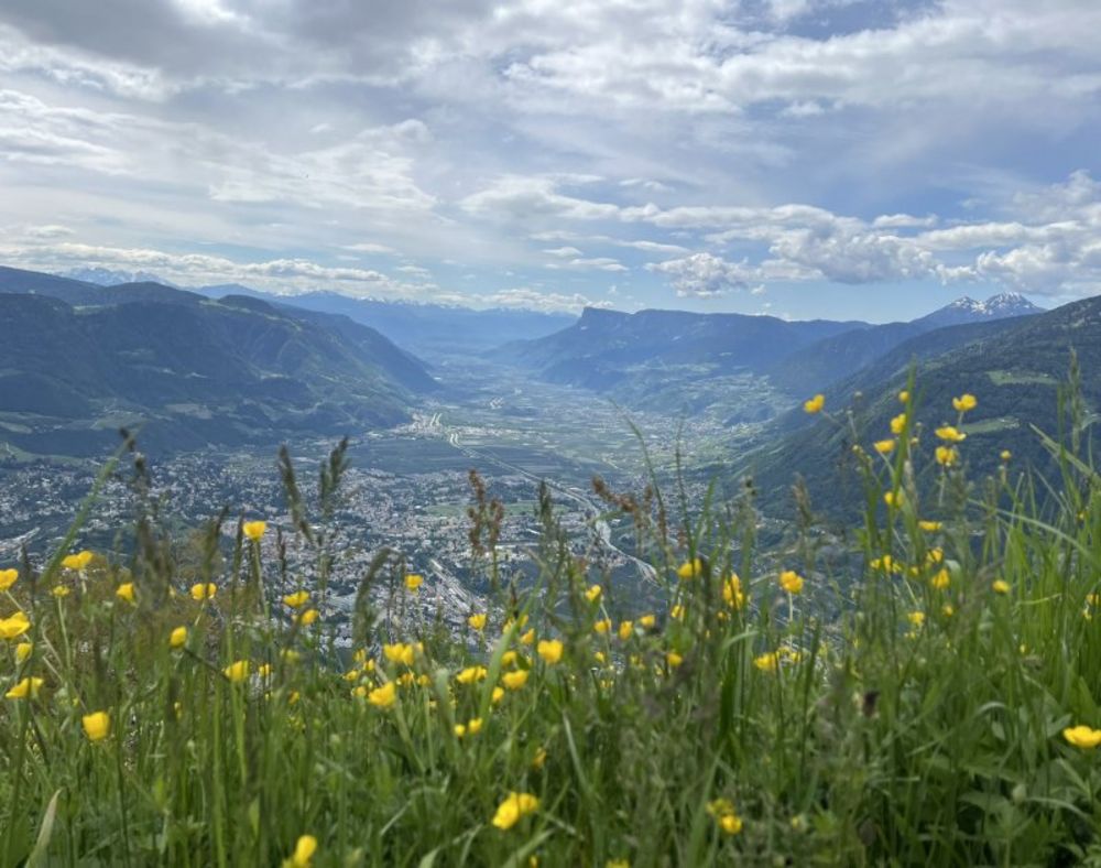 Piacere estivo