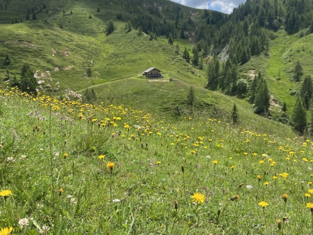Noch einmal Sonne tanken
